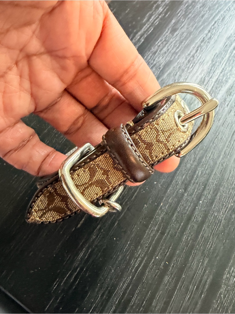 Authentic Coach Monogram Brown  Leather Trim Dog Collar with Silver Hardware